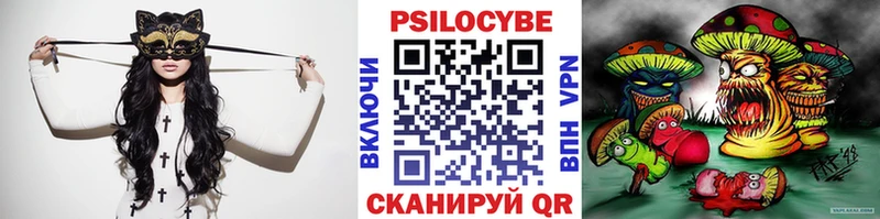 наркота  Багратионовск  Псилоцибиновые грибы Magic Shrooms 